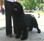 Превью фото № 29149