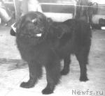 Превью фото № 2915