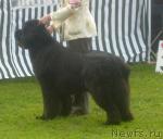 Превью фото № 29205