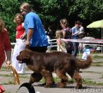 Превью фото № 29248