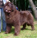 Превью фото № 29288