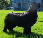 Превью фото № 29354