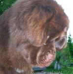 Превью фото № 29549