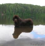 Превью фото № 29551