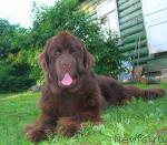 Превью фото № 29557