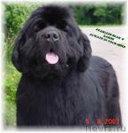 Превью фото № 297