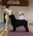 Превью фото № 29731