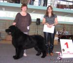 Превью фото № 29759