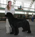 Превью фото № 29763