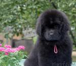 Превью фото № 29941