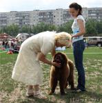 Превью фото № 29997