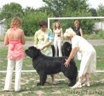 Превью фото № 29999