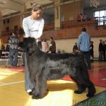 Превью фото № 3030