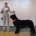 Превью фото № 3034