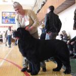 Превью фото № 3035