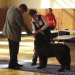 Превью фото № 3038