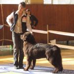 Превью фото № 3040