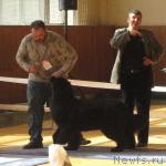 Превью фото № 3047