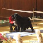 Превью фото № 3048