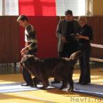 Превью фото № 3049