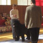 Превью фото № 3052