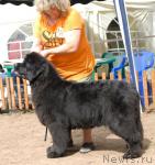 Превью фото № 30597