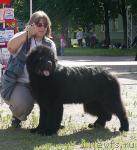 Превью фото № 30676