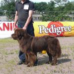 Превью фото № 30709