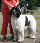 Превью фото № 30712