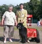 Превью фото № 30746