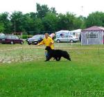 Превью фото № 30778