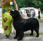 Превью фото № 30891