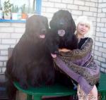 Превью фото № 30949