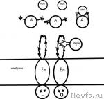 Превью фото № 30962