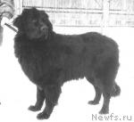 Превью фото № 3098