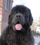 Превью фото № 3109