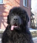 Превью фото № 3110