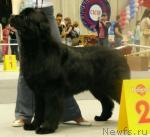 Превью фото № 31139