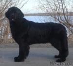 Превью фото № 3114