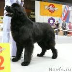 Превью фото № 31140