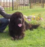 Превью фото № 31473