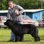 Превью фото № 31518