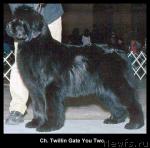 Превью фото № 31545