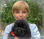 Превью фото № 31601