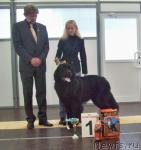 Превью фото № 31630