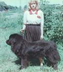 Превью фото № 3172