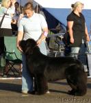 Превью фото № 31750