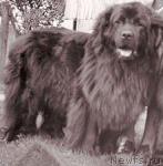 Превью фото № 319