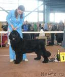 Превью фото № 3196