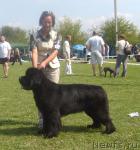 Превью фото № 32109